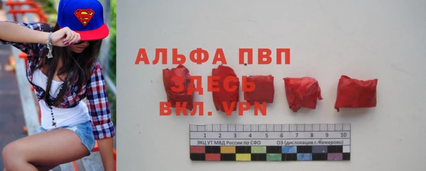 spice Дмитровск