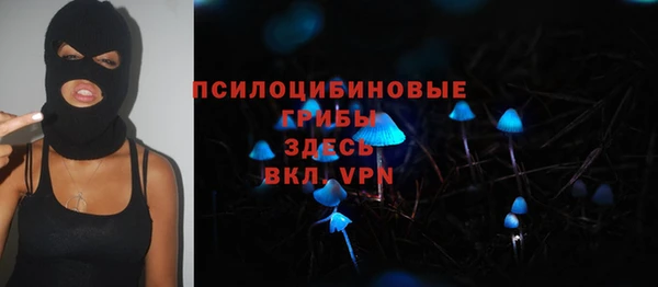Альфа ПВП Дмитриев