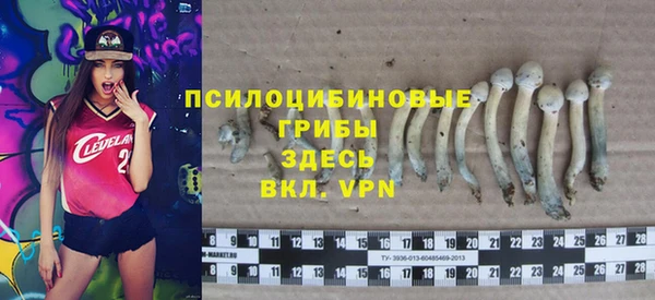 Альфа ПВП Дмитриев